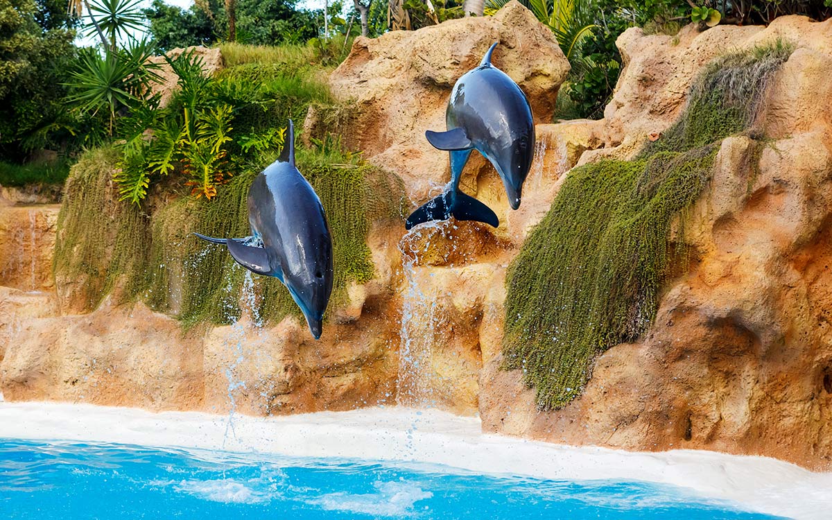SeaWorld Orlando